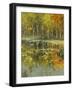 Nature's Mirror-Tim Howe-Framed Giclee Print