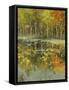 Nature's Mirror-Tim Howe-Framed Stretched Canvas