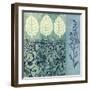 Nature's Montage IV-Nancy Slocum-Framed Art Print