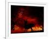 Nature's Morning-Julie Fain-Framed Art Print