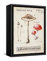 Nature's Mushrooms-Angela Staehling-Framed Stretched Canvas