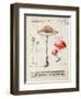 Nature's Mushrooms-Angela Staehling-Framed Art Print