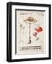 Nature's Mushrooms-Angela Staehling-Framed Art Print