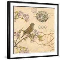 Nature's Observations 1-Chad Barrett-Framed Art Print