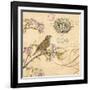 Nature's Observations 1-Chad Barrett-Framed Art Print