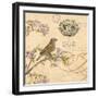 Nature's Observations 1-Chad Barrett-Framed Art Print