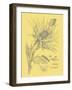 Nature's Optimism I-Vision Studio-Framed Art Print