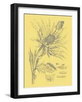 Nature's Optimism I-Vision Studio-Framed Art Print