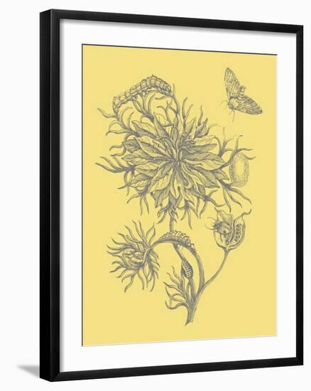 Nature's Optimism II-Vision Studio-Framed Art Print