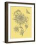 Nature's Optimism II-Vision Studio-Framed Art Print