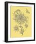 Nature's Optimism II-Vision Studio-Framed Art Print