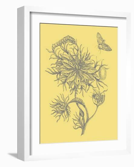 Nature's Optimism II-Vision Studio-Framed Art Print