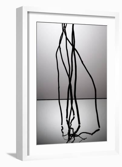 Nature's Reflections IV-Monika Burkhart-Framed Photographic Print