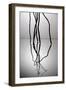 Nature's Reflections V-Monika Burkhart-Framed Photographic Print