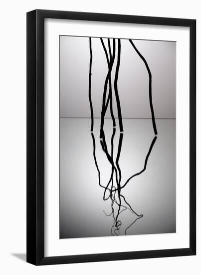 Nature's Reflections V-Monika Burkhart-Framed Photographic Print