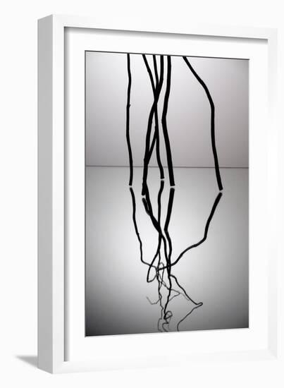 Nature's Reflections V-Monika Burkhart-Framed Photographic Print