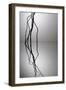 Nature's Reflections VI-Monika Burkhart-Framed Photographic Print