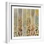 Nature's Shades Composition-Hollack-Framed Giclee Print