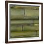 Nature's Textures V-Vision Studio-Framed Art Print