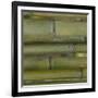 Nature's Textures V-Vision Studio-Framed Art Print