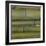 Nature's Textures V-Vision Studio-Framed Art Print