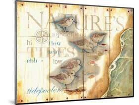 Nature's Tidepoolers-Mary Escobedo-Mounted Art Print