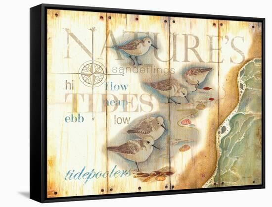 Nature's Tidepoolers-Mary Escobedo-Framed Stretched Canvas