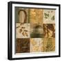 Nature^s Touch II-Chris Donovan-Framed Art Print