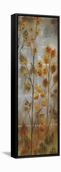 Nature's Way II-Liz Jardine-Framed Stretched Canvas