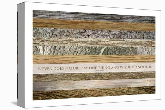 Nature's Wisdom (after Juvenal)-null-Stretched Canvas
