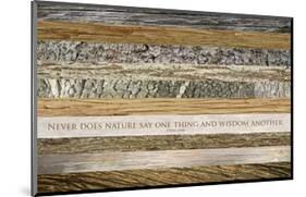 Nature's Wisdom (after Juvenal)-null-Mounted Art Print