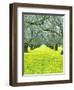 Nature Series 827-PhotoDF-Framed Giclee Print