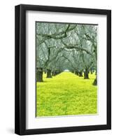 Nature Series 827-PhotoDF-Framed Giclee Print