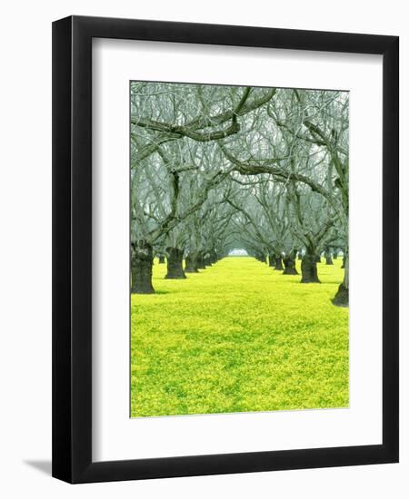 Nature Series 827-PhotoDF-Framed Giclee Print