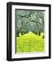 Nature Series 827-PhotoDF-Framed Giclee Print