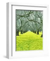 Nature Series 827-PhotoDF-Framed Giclee Print