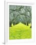 Nature Series 827-PhotoDF-Framed Giclee Print