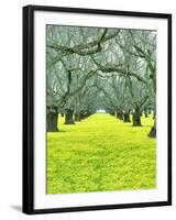 Nature Series 827-PhotoDF-Framed Giclee Print