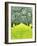 Nature Series 827-PhotoDF-Framed Giclee Print