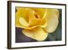 Nature Series 881-PhotoDF-Framed Giclee Print