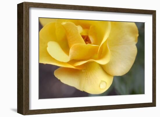 Nature Series 881-PhotoDF-Framed Giclee Print