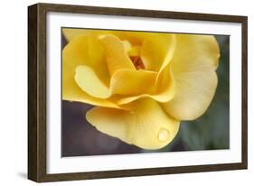 Nature Series 881-PhotoDF-Framed Giclee Print