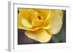 Nature Series 881-PhotoDF-Framed Giclee Print