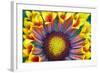 Nature Series 902-PhotoDF-Framed Giclee Print