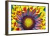 Nature Series 902-PhotoDF-Framed Giclee Print