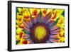 Nature Series 902-PhotoDF-Framed Giclee Print