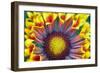 Nature Series 902-PhotoDF-Framed Giclee Print