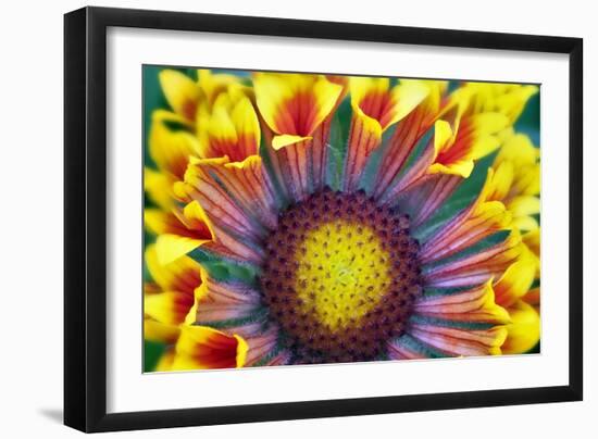 Nature Series 902-PhotoDF-Framed Giclee Print