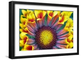 Nature Series 902-PhotoDF-Framed Giclee Print