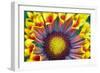 Nature Series 902-PhotoDF-Framed Giclee Print